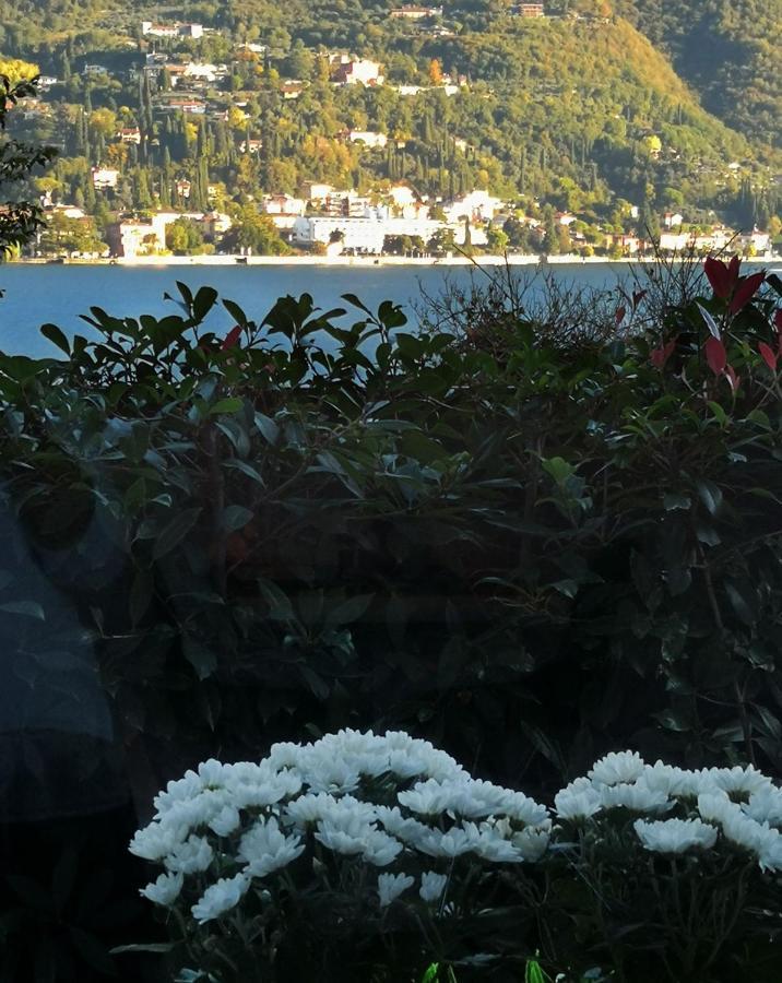B&B Le Farfalle San Felice del Benaco Luaran gambar